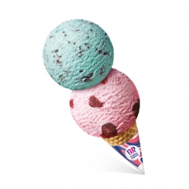 [배스킨라빈스]더블레귤러 아이스크림
